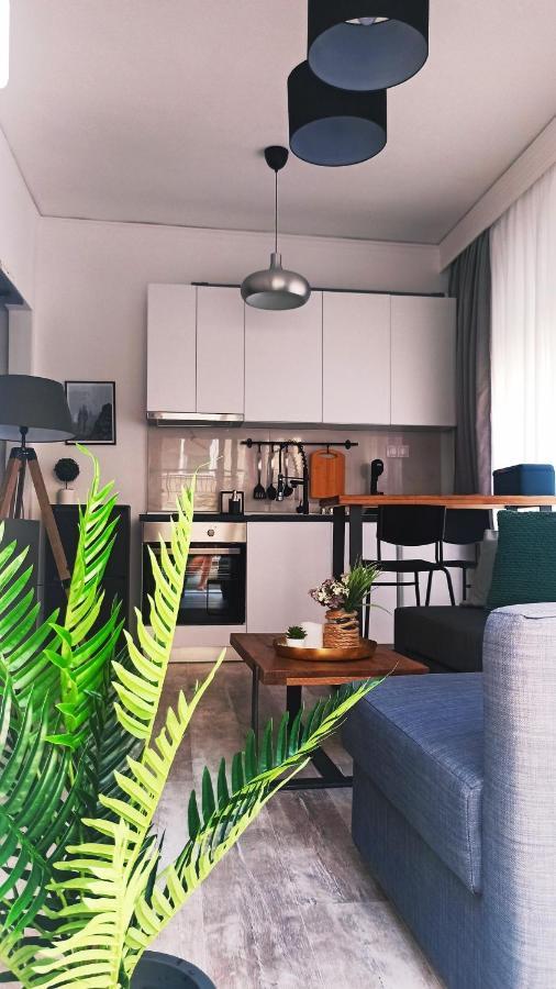 Down Town Luxurious Apartments أليكسانثيربوليس المظهر الخارجي الصورة